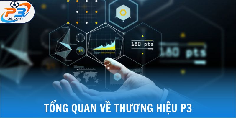 Tổng quan về thương hiệu P3